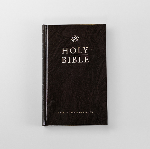 English Standard Version (ESV) Bible - Hardback