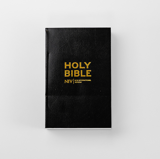 New International Version (NIV) Anglicised Gift and Award Bible
