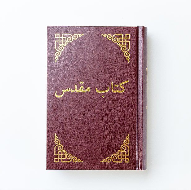 Persian Dari Bible - Modern Translation