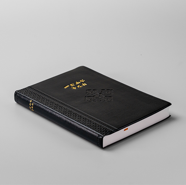 Amharic Common Language Bible